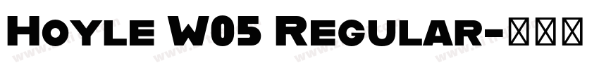 Hoyle W05 Regular字体转换